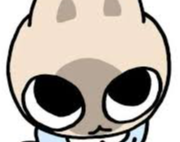 rewqr