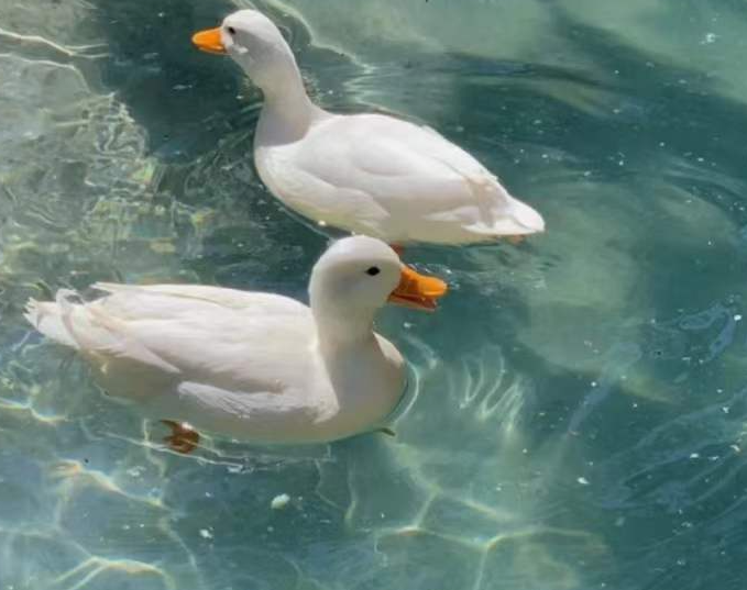 Scalable for Growth, Not Just for Today